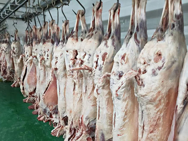 車(chē)間(jiān)展示