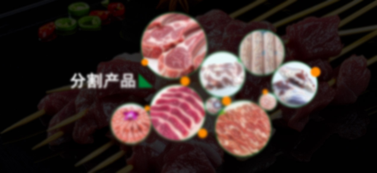 分(fēn)割産品