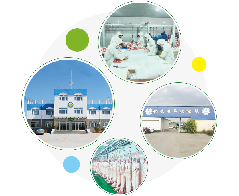 科爾沁羊業投資有限公司