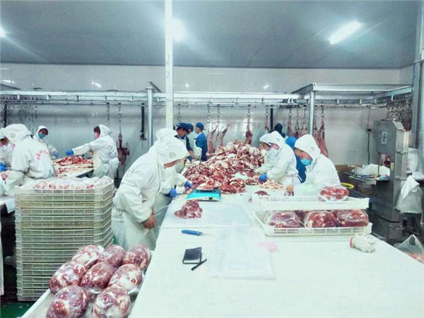 車(chē)間(jiān)展示